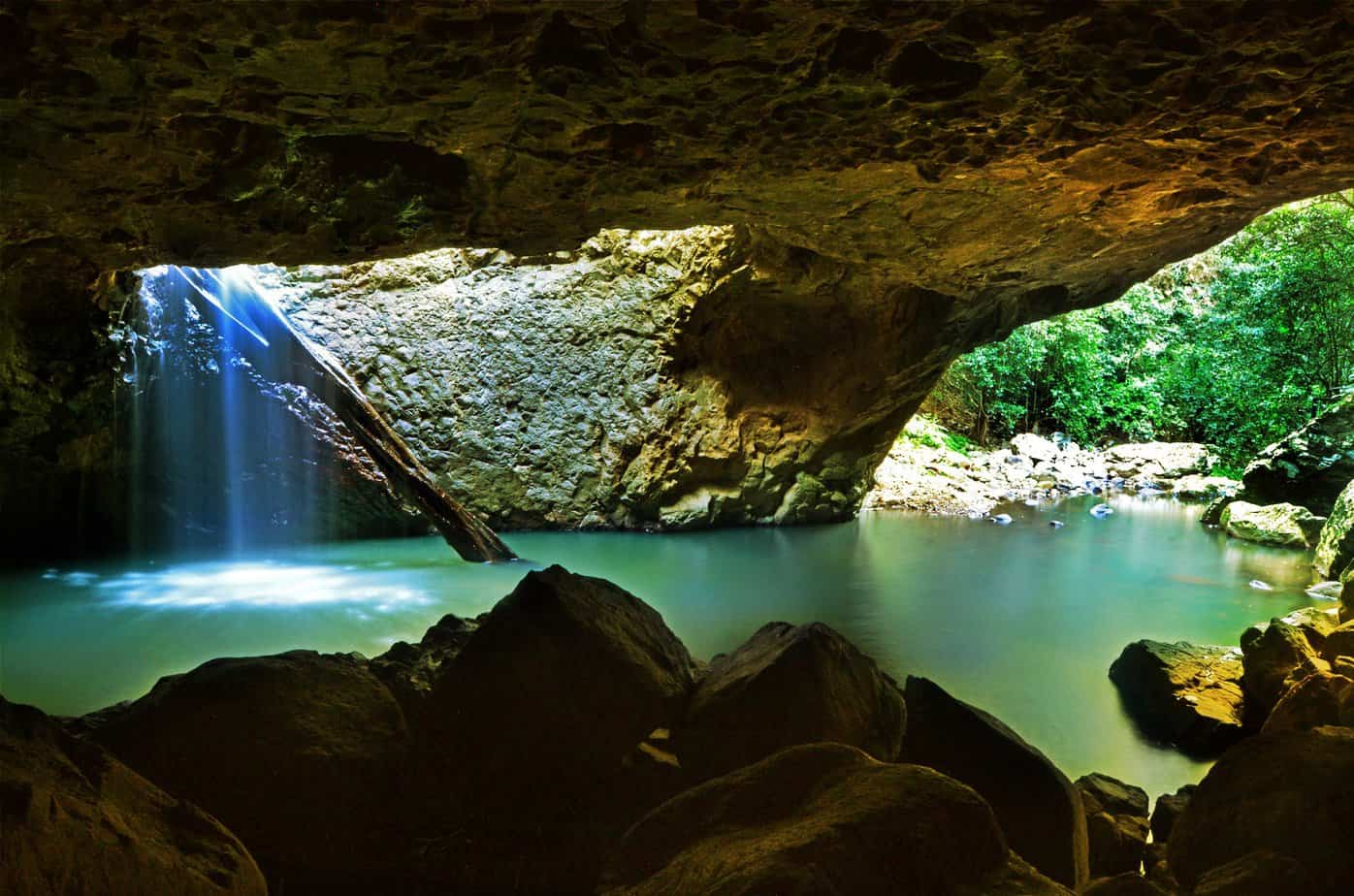 Springbrook